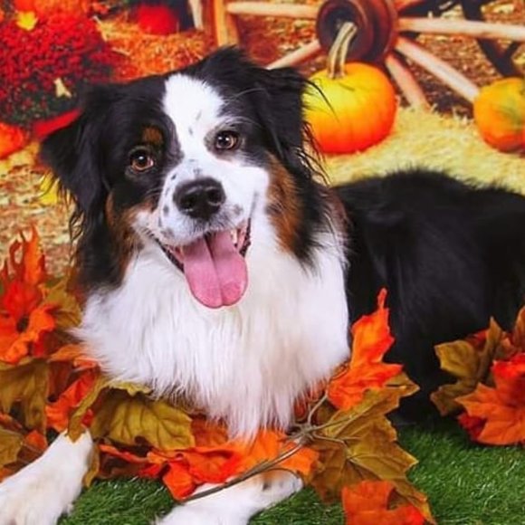 Meet your Posher, Kate ❤️ - Picture 2 of 5